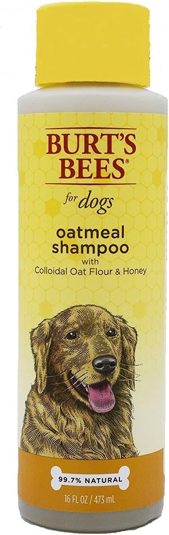 Burt's Bees Oatmeal Shampoo