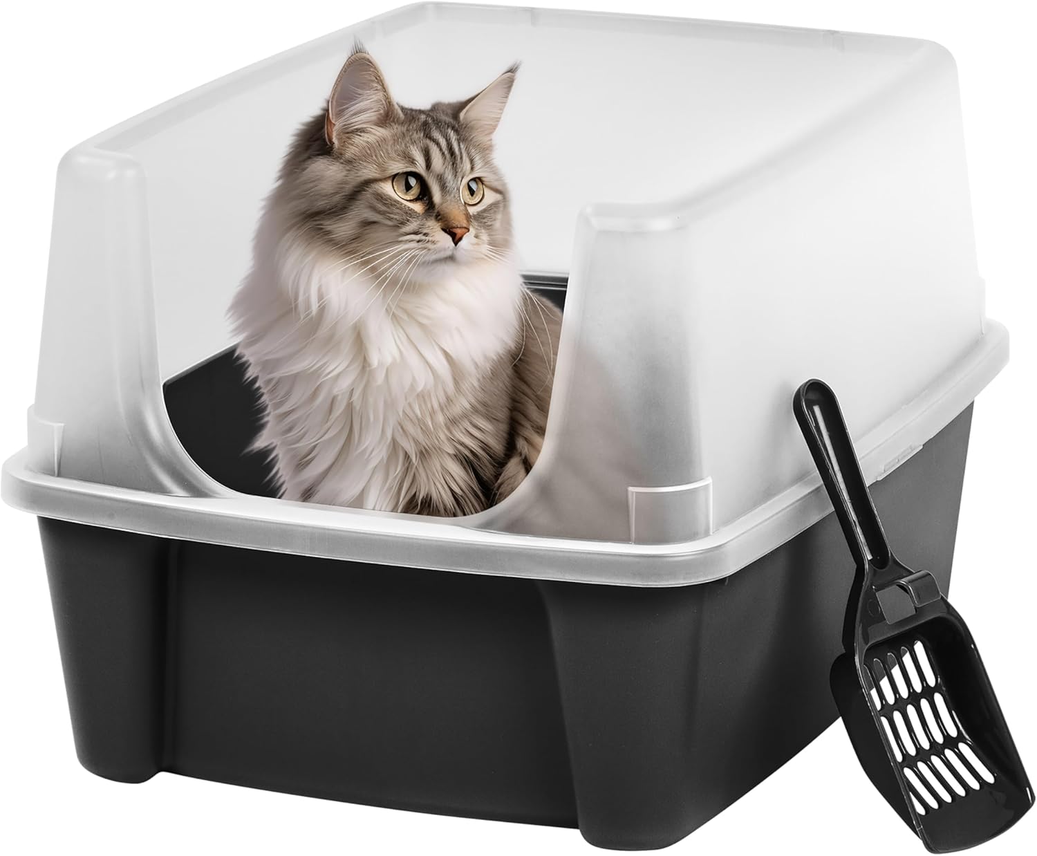 Large Open Top Cat Litter Box