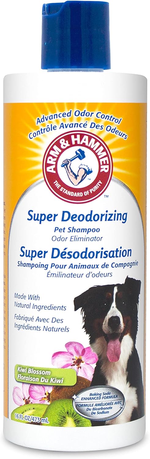 Super Deodorizing Shampoo