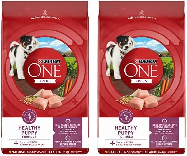 Purina ONE Plus